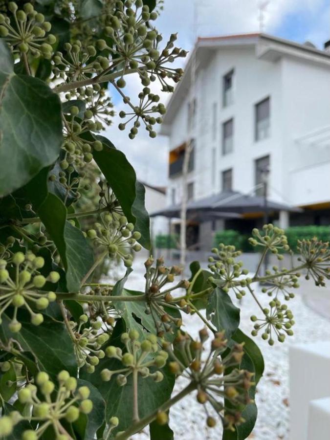 Zuia Suites มูรูเกีย ภายนอก รูปภาพ